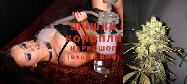 ГАЛЛЮЦИНОГЕННЫЕ ГРИБЫ Костерёво