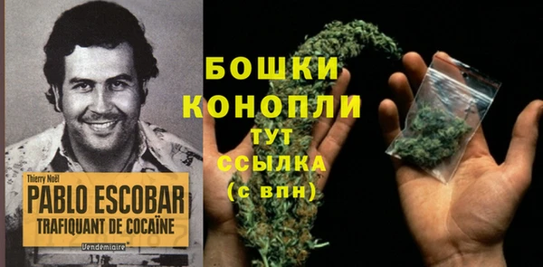 mix Козельск